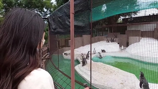 国自产拍最新2020在线-【丝袜美腿系列】暴力淫操性感黑丝嫩模 粉色捆绑无套爆操 叫床淫荡 足交手淫撸射 国语对白 高清480P完整版的!