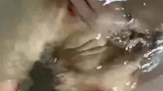 拖鞋家居日韩AV-白皙皮肤呆萌小姐姐！情趣耳朵抓屌吸吮！头套男怼着骚穴猛操，骑乘姿势打桩机，无套内射。